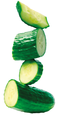 Pepino Europeo
